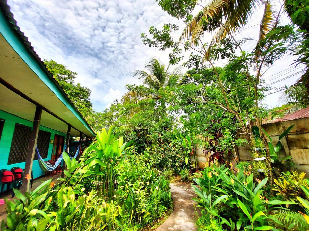 Cabinas Tortuguero Extérieur photo