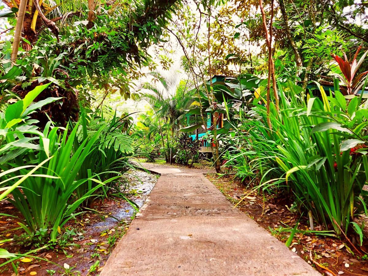 Cabinas Tortuguero Extérieur photo