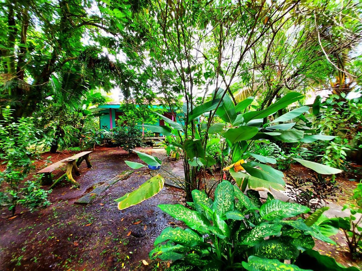 Cabinas Tortuguero Extérieur photo