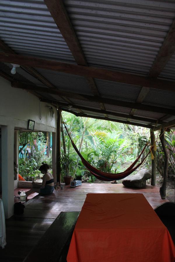 Cabinas Tortuguero Extérieur photo