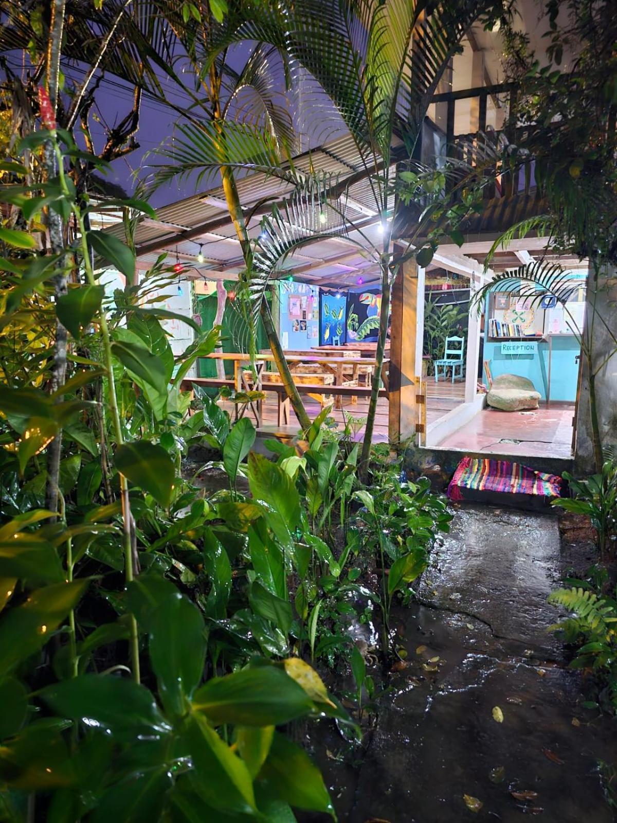 Cabinas Tortuguero Extérieur photo