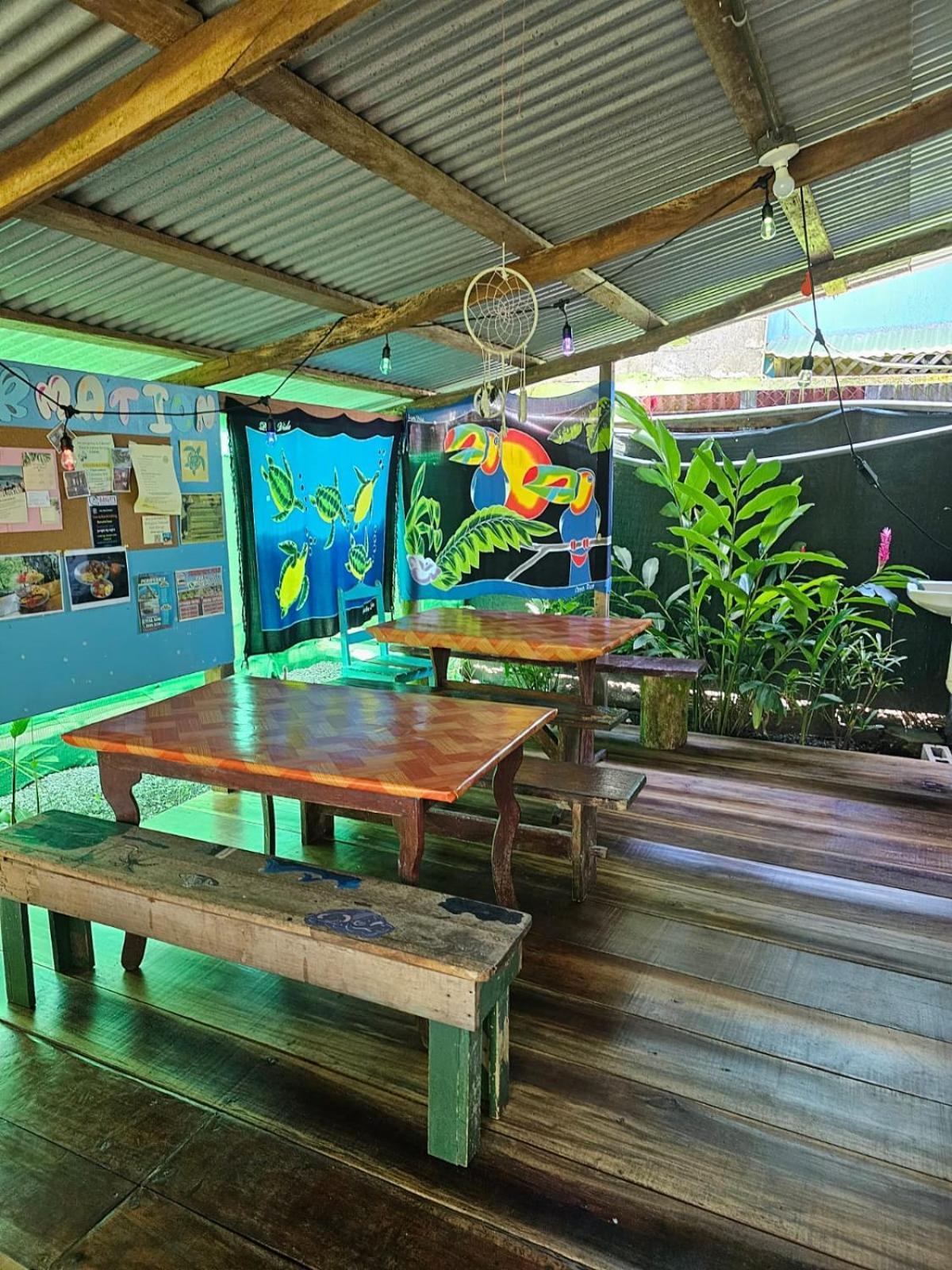 Cabinas Tortuguero Extérieur photo