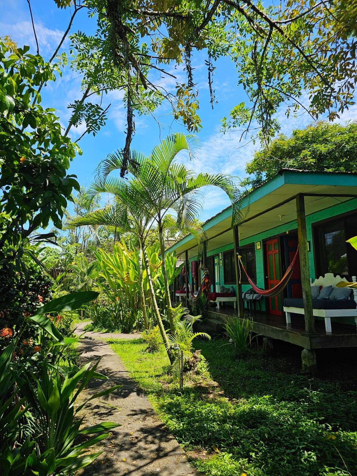 Cabinas Tortuguero Extérieur photo