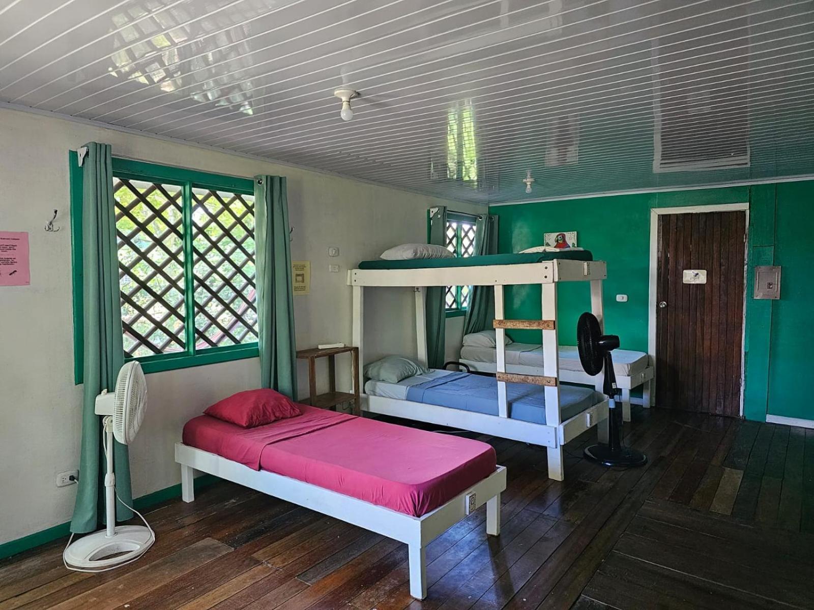 Cabinas Tortuguero Extérieur photo