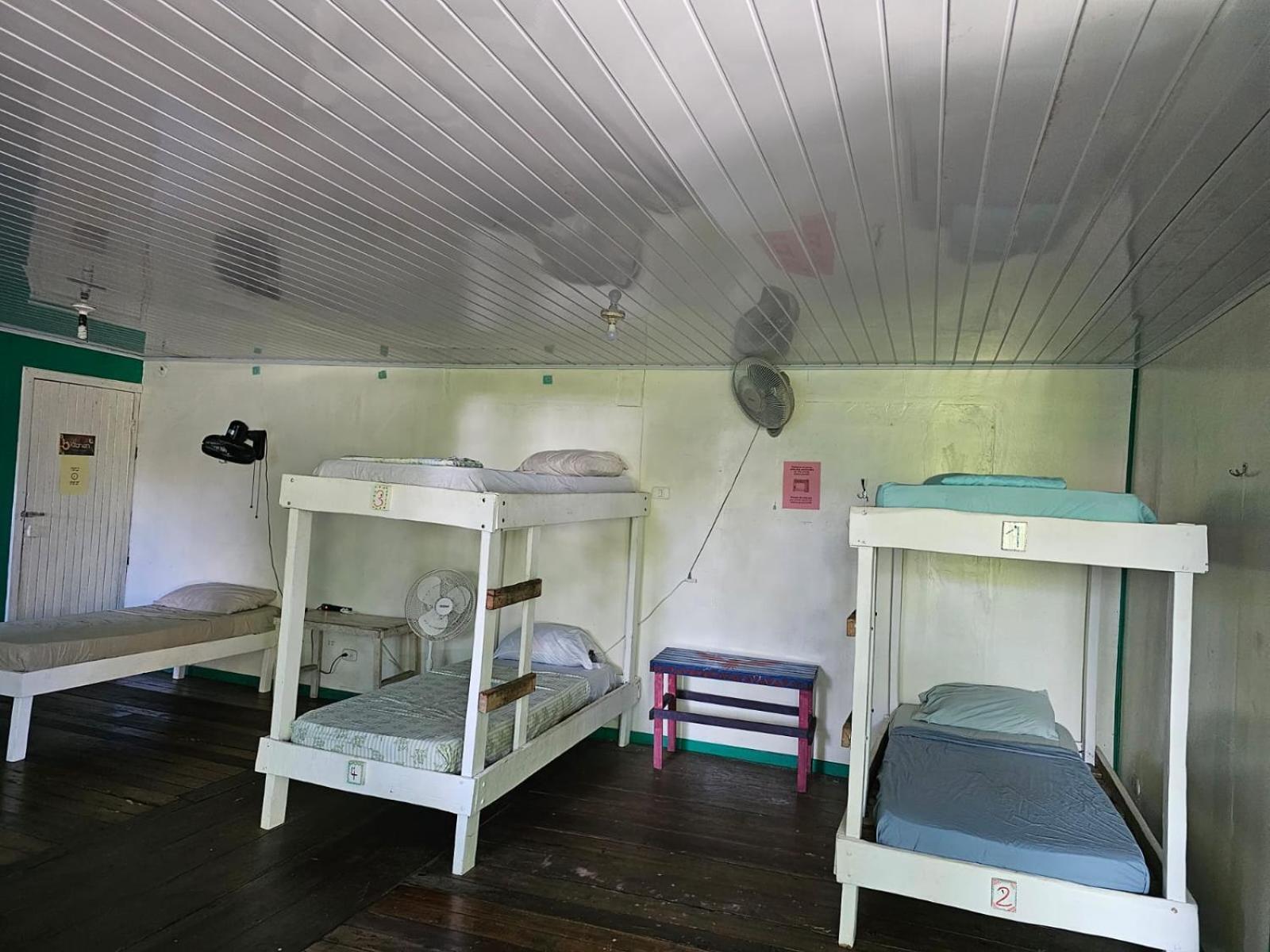 Cabinas Tortuguero Extérieur photo