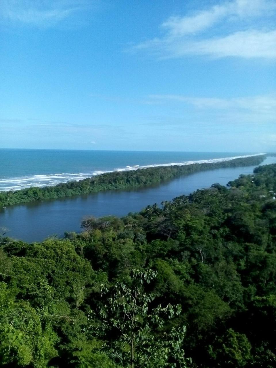 Cabinas Tortuguero Extérieur photo